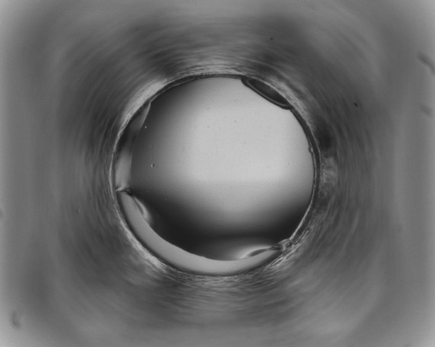 X0000097971293200804141042