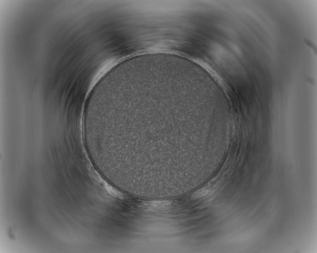 X0000097971294200804141042