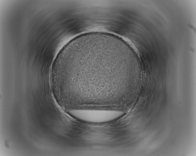 X0000097971295200804141042