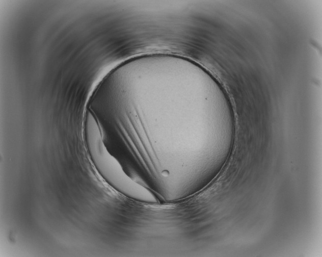 X0000097971296200804141042