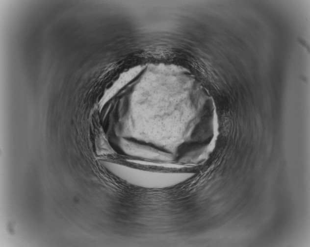 X0000097971297200804141041
