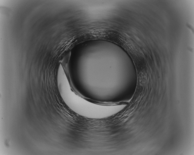 X0000097971298200804141041