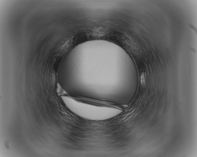 X0000097971299200804141041