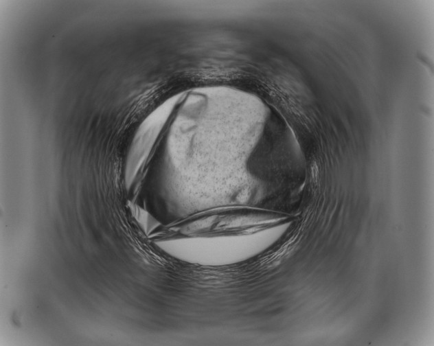 X0000097971300200804141041