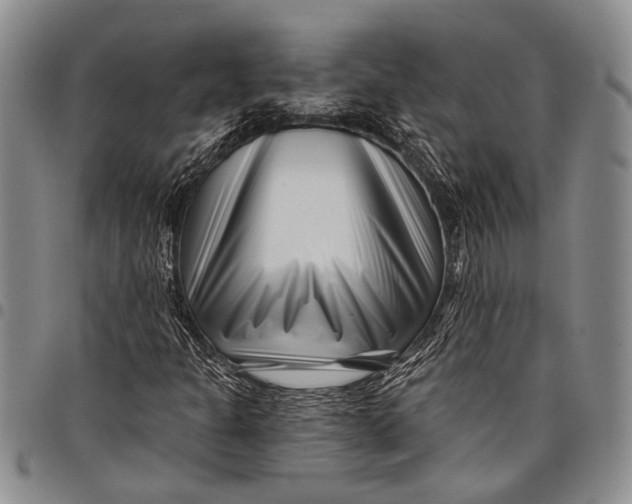 X0000097971301200804141041