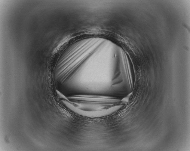 X0000097971304200804141042