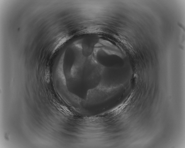 X0000097971306200804141042