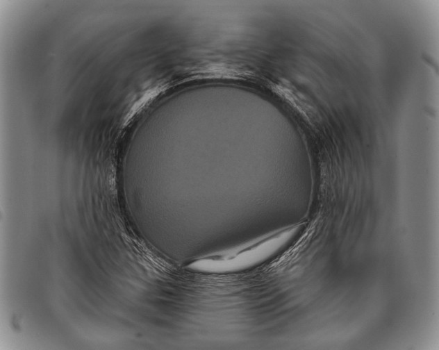 X0000097971307200804141042