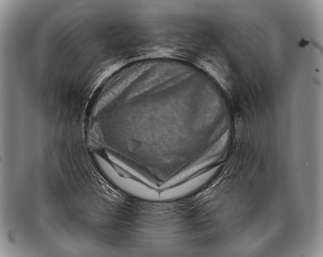X0000097971308200804141042