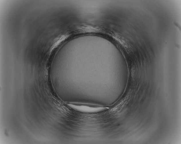 X0000097971309200804141042