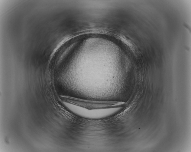 X0000097971310200804141042