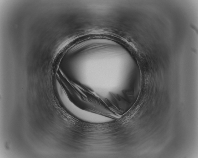 X0000097971311200804141042