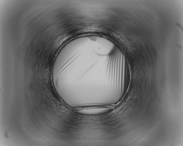 X0000097971313200804141042