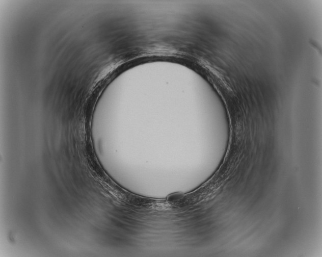 X0000097971315200804141042