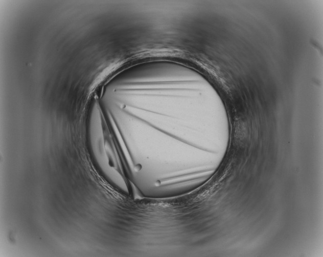 X0000097971317200804141042