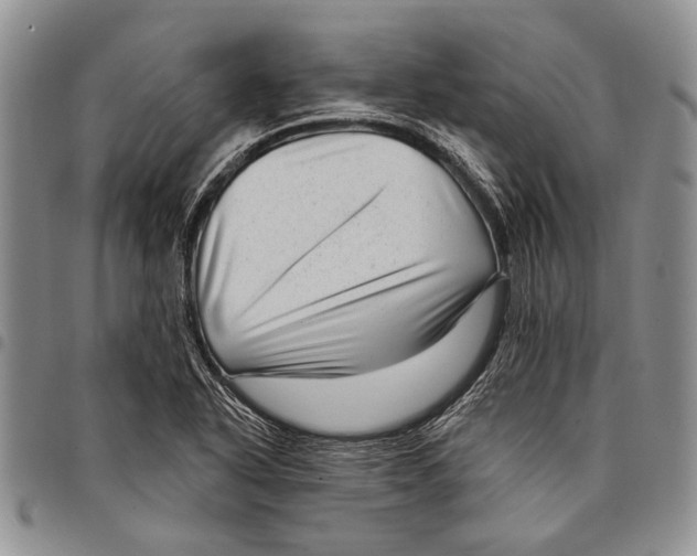 X0000097971318200804141042