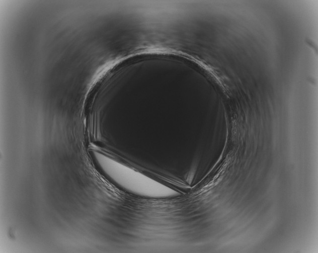X0000097971319200804141042