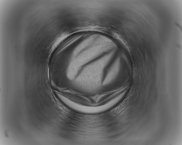 X0000097971320200804141042
