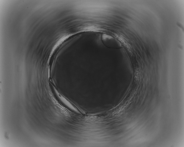X0000097971323200804141042