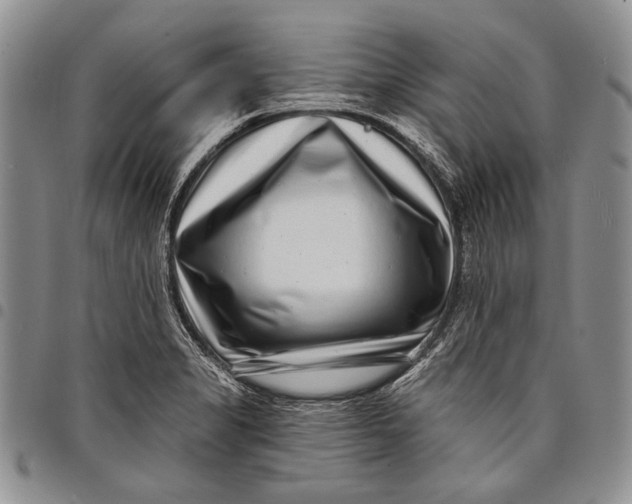 X0000097971325200804141042