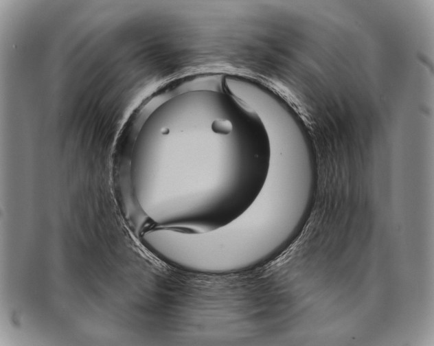 X0000097971326200804141042
