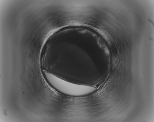 X0000097971327200804141042