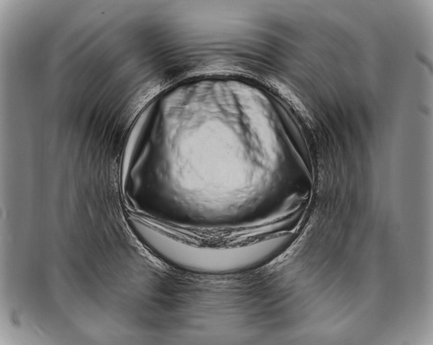 X0000097971329200804141042