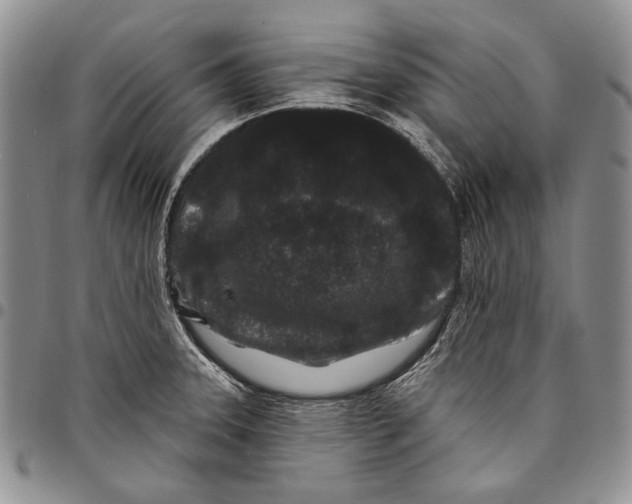 X0000097971331200804141042
