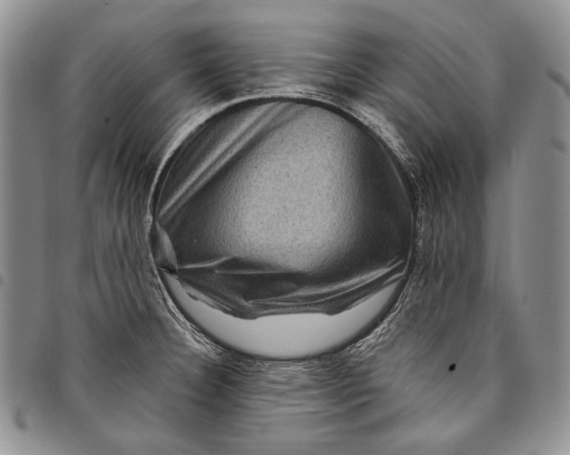 X0000097971332200804141042