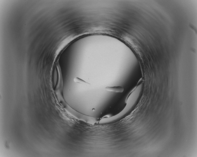 X0000097971336200804141042