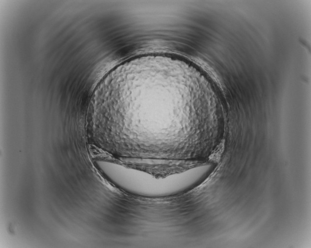 X0000097971337200804141042