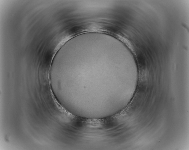 X0000097971338200804141042