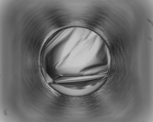 X0000097971339200804141042