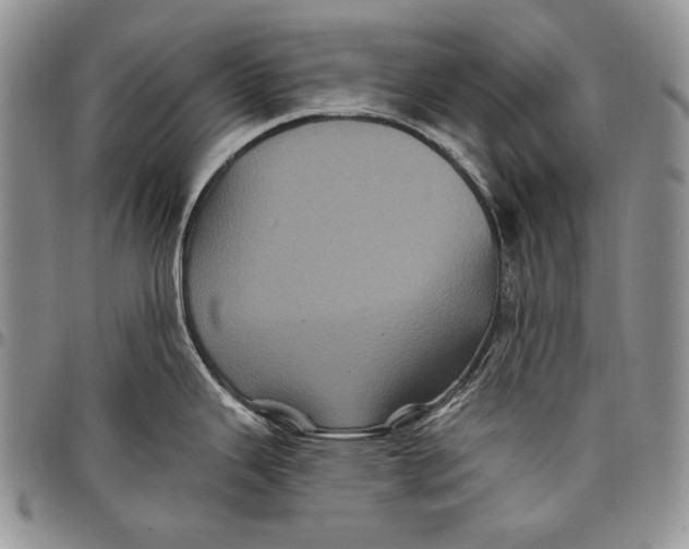 X0000097971343200804141042