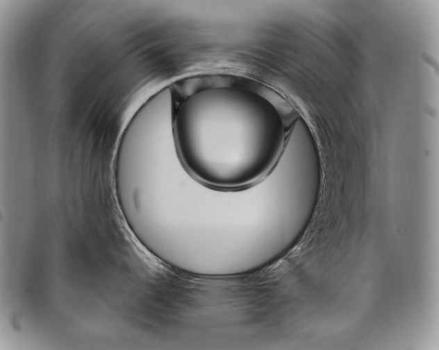 X0000097971344200804141042