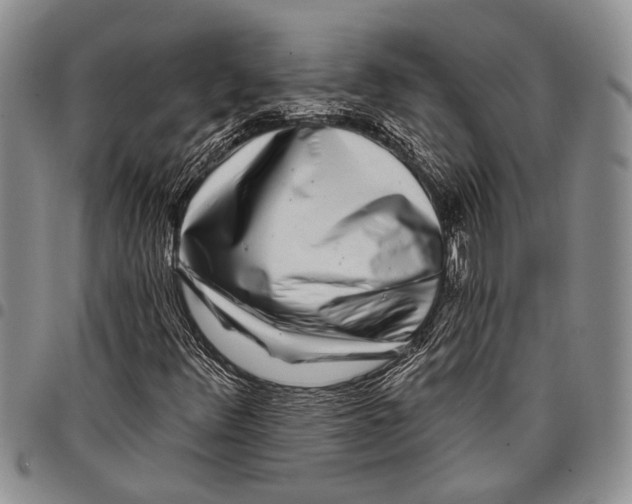 X0000097971348200804141041