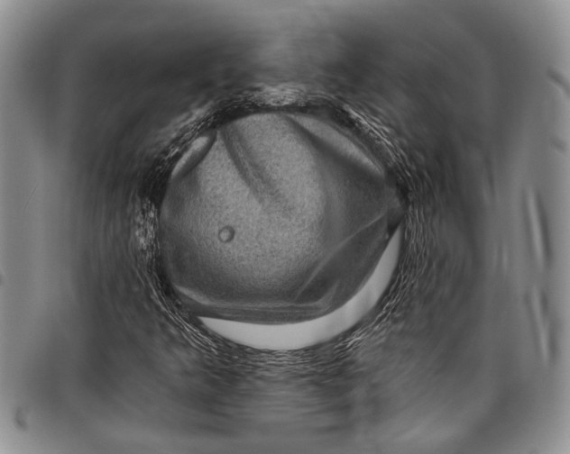 X0000097971349200804141041
