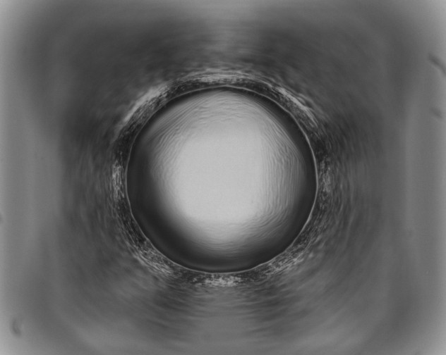 X0000097971351200804141041