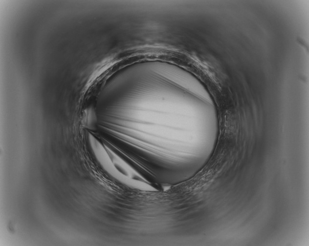 X0000097971352200804141041