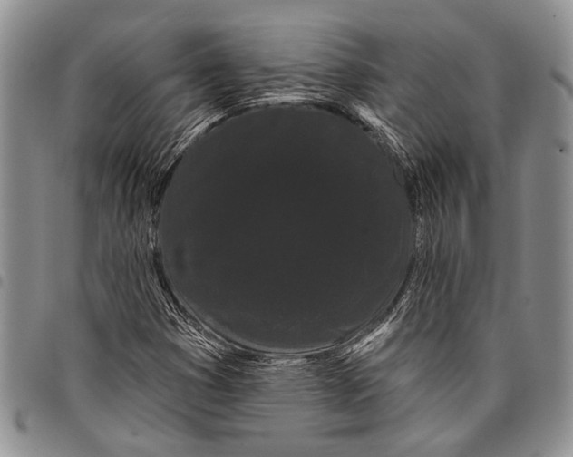 X0000097971353200804141041