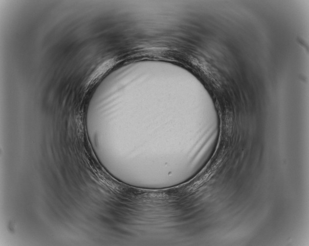 X0000097971354200804141041