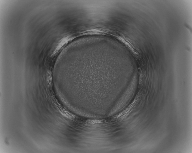 X0000097971355200804141041
