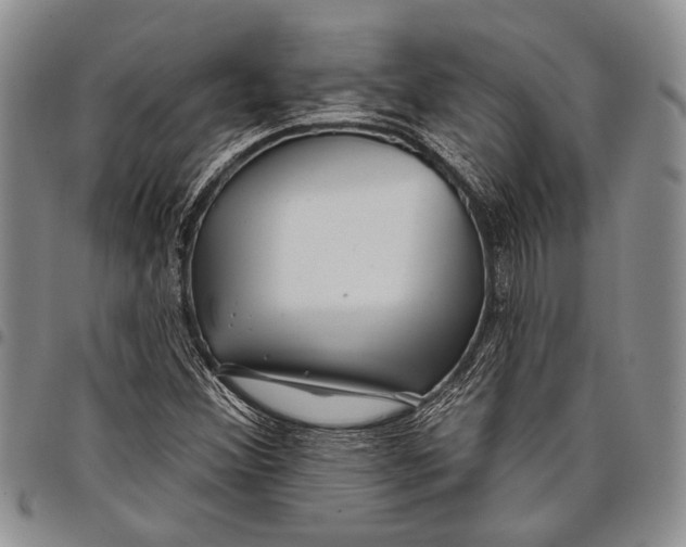 X0000097971356200804141041