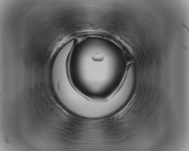 X0000097971357200804141041