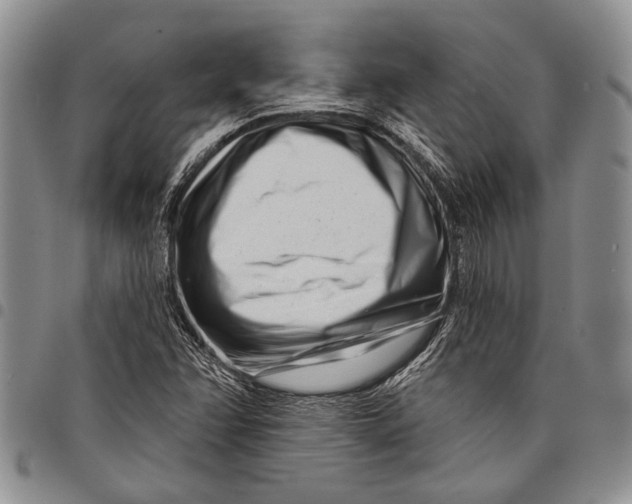 X0000097971358200804141041