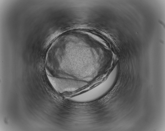 X0000097971359200804141041