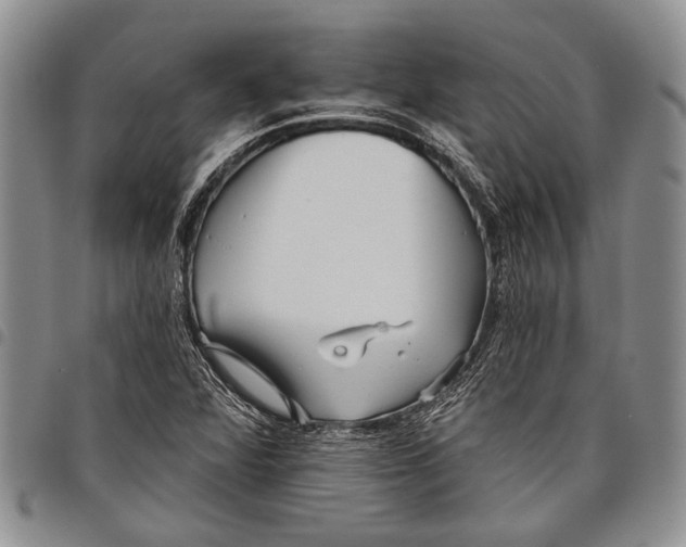 X0000097971360200804141041