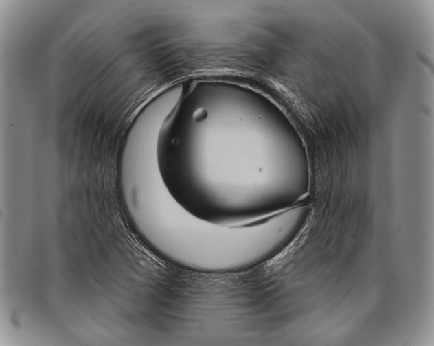 X0000097971361200804141041