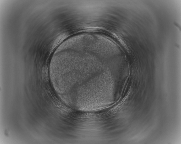 X0000097971362200804141041