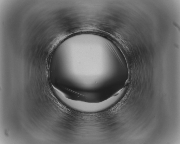 X0000097971363200804141041